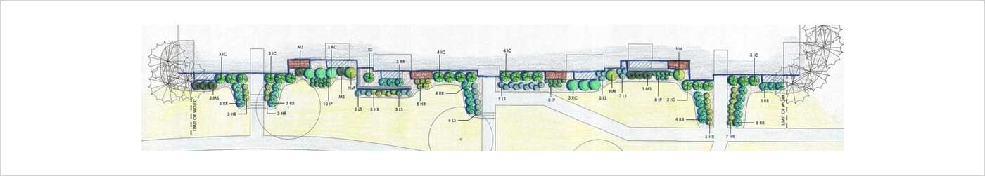 6 Architectural landscape plan showing vegetation layout and hardscape elements.